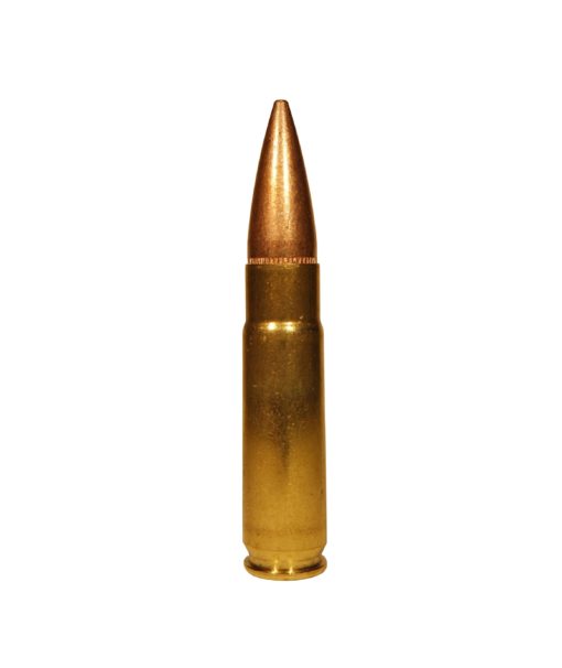 STEADFAST .300 BLK 147gr FMJ-BT BLEM- 20 rds - FAST SHIPPING