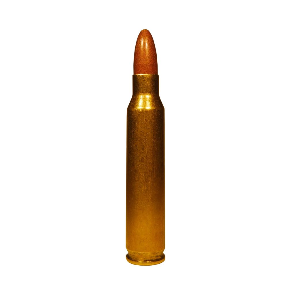 STEADFAST .223 REM 40gr Frangible BLEM 50 rds FAST SHIPPING Stillwood Ammunition