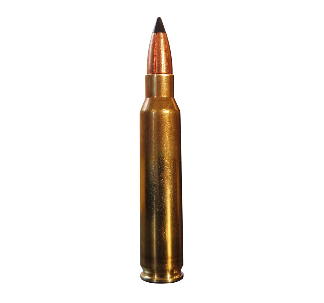 steadfast-223-rem-55gr-trex-maker-bullets-expanding-20-rds-fast