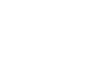 Stillwood Ammunition Systems